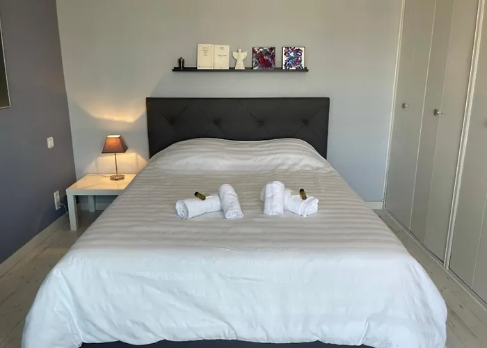 Spacious And Stylish One-bedroom On Place De Gaulle דירה