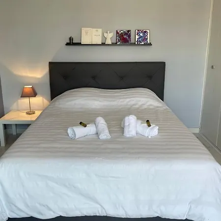 Design And Spacious One Bedroom On Place De Gaulle Apartment